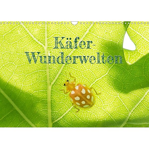 Käfer-Wunderwelten (Wandkalender 2023 DIN A3 quer), Carola Vahldiek