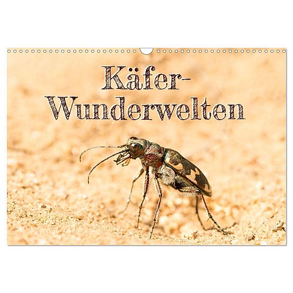 Käfer-Wunderwelten (Wandkalender 2024 DIN A3 quer), CALVENDO Monatskalender, Carola Vahldiek