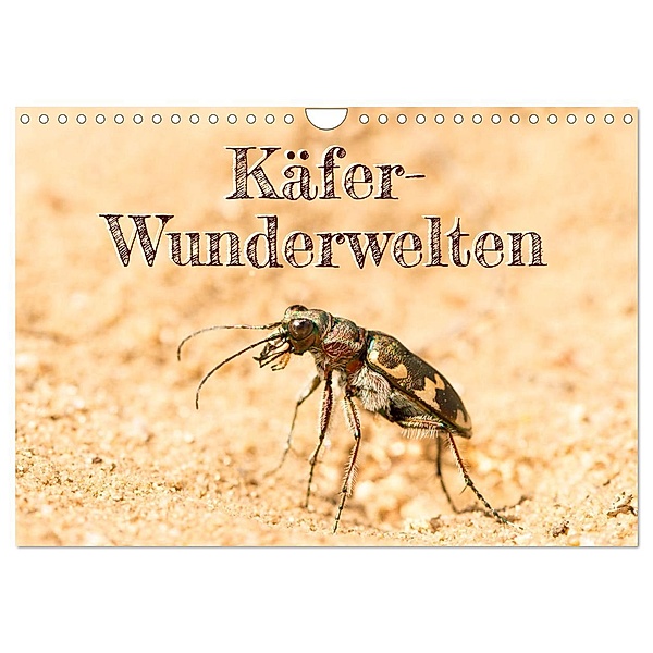 Käfer-Wunderwelten (Wandkalender 2025 DIN A4 quer), CALVENDO Monatskalender, Calvendo, Carola Vahldiek