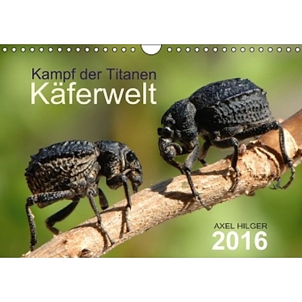 Käferwelt - Kampf der Titanen (Wandkalender 2016 DIN A4 quer), Axel Hilger