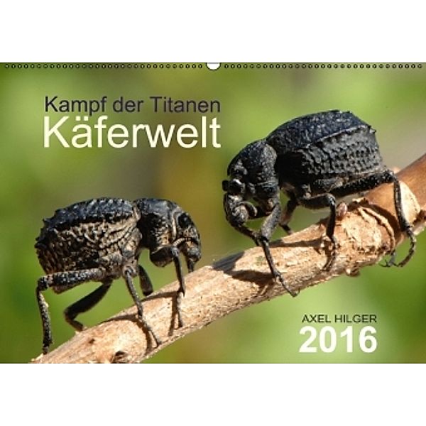 Käferwelt - Kampf der Titanen (Wandkalender 2016 DIN A2 quer), Axel Hilger