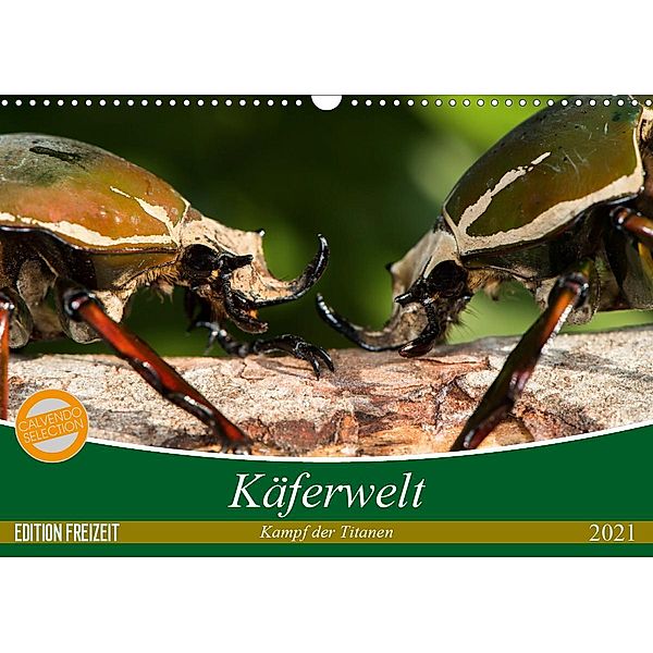 Käferwelt - Kampf der Titanen (Wandkalender 2021 DIN A3 quer), Axel Hilger