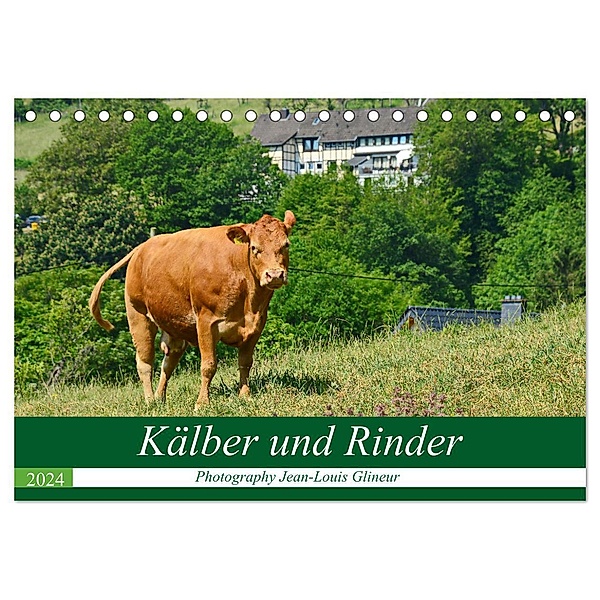 Kälber und Rinder (Tischkalender 2024 DIN A5 quer), CALVENDO Monatskalender, Jean-Louis Glineur / DeVerviers