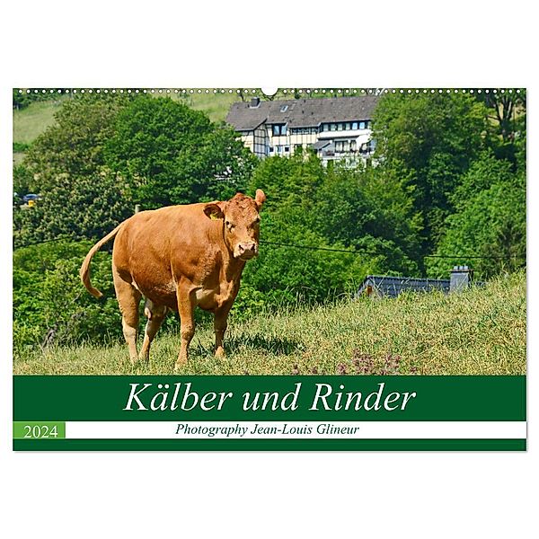 Kälber und Rinder (Wandkalender 2024 DIN A2 quer), CALVENDO Monatskalender, Jean-Louis Glineur / DeVerviers