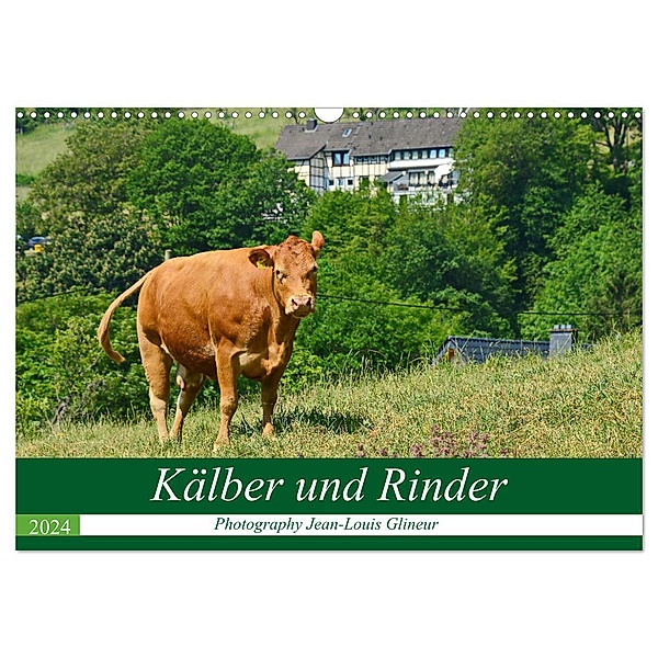 Kälber und Rinder (Wandkalender 2024 DIN A3 quer), CALVENDO Monatskalender, Jean-Louis Glineur / DeVerviers