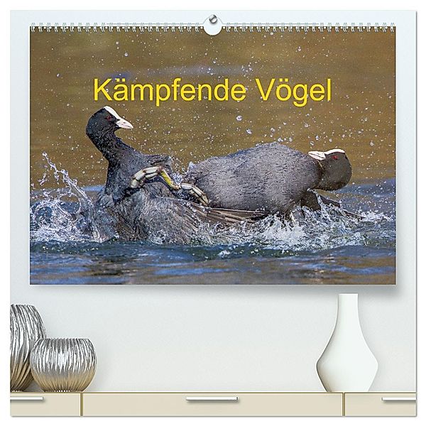 Kämpfende Vögel (hochwertiger Premium Wandkalender 2025 DIN A2 quer), Kunstdruck in Hochglanz, Calvendo, Wilfried Martin (GDT)