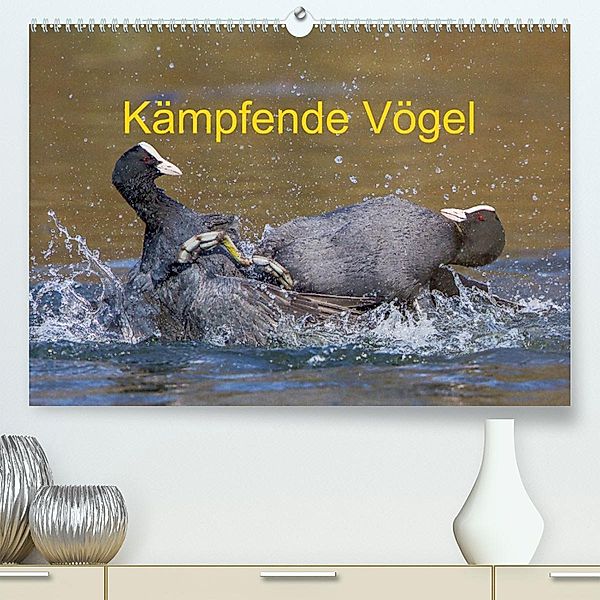 Kämpfende Vögel (Premium, hochwertiger DIN A2 Wandkalender 2023, Kunstdruck in Hochglanz), Wilfried Martin (GDT)