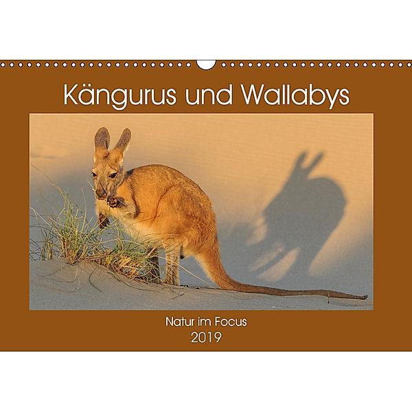 Kängururs und Wallabys (Wandkalender 2019 DIN A3 quer), Sidney Smith