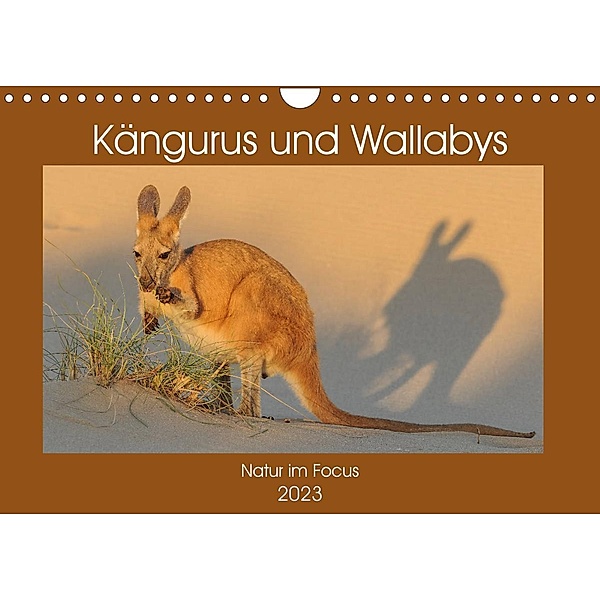 Kängururs und Wallabys (Wandkalender 2023 DIN A4 quer), Sidney Smith