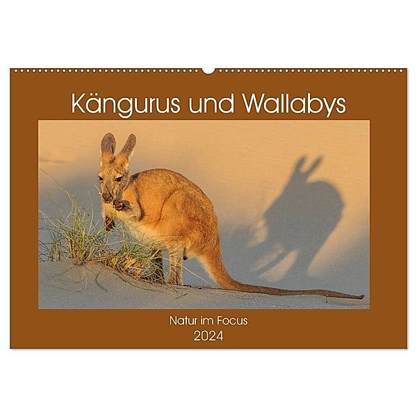 Kängururs und Wallabys (Wandkalender 2024 DIN A2 quer), CALVENDO Monatskalender, Sidney Smith