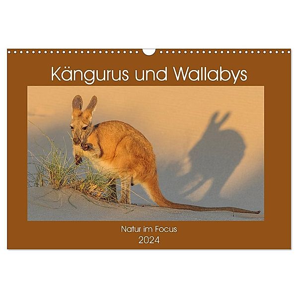Kängururs und Wallabys (Wandkalender 2024 DIN A3 quer), CALVENDO Monatskalender, Sidney Smith