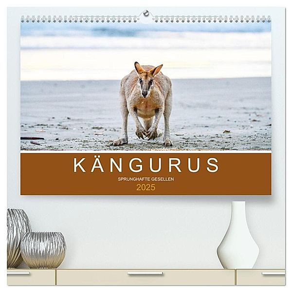 Kängurus, sprunghafte Gesellen (hochwertiger Premium Wandkalender 2025 DIN A2 quer), Kunstdruck in Hochglanz, Calvendo, Robert Styppa