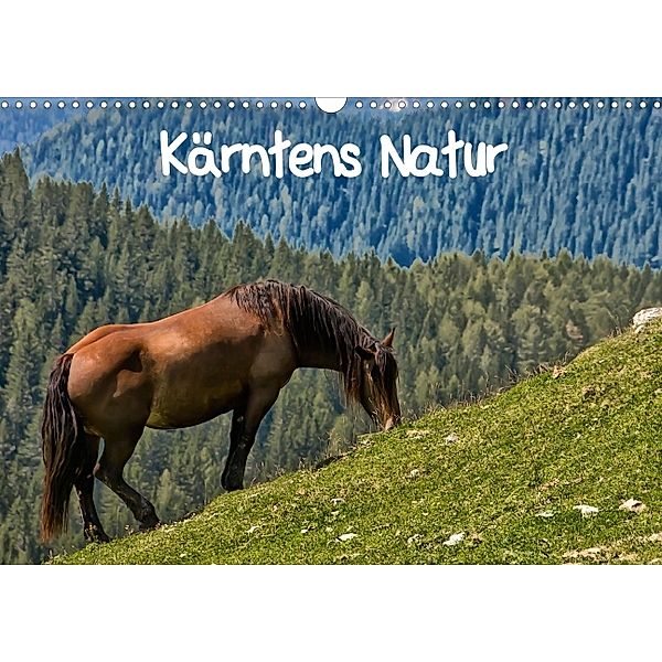 Kärntens Natur (Posterbuch DIN A4 quer), Simone Wunderlich