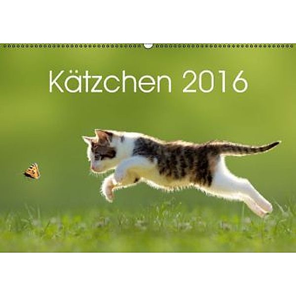 Kätzchen 2016 (Wandkalender 2016 DIN A2 quer), Leoba