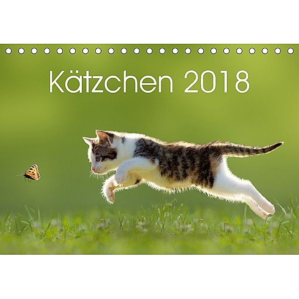 Kätzchen 2018 (Tischkalender 2018 DIN A5 quer), LEOBA