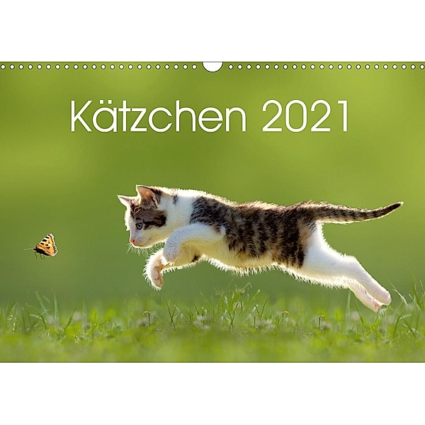 Kätzchen 2021 (Wandkalender 2021 DIN A3 quer), Leoba