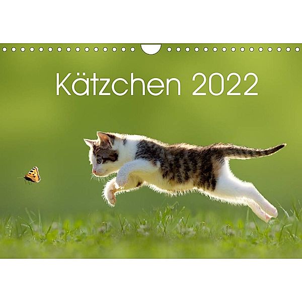 Kätzchen 2022 (Wandkalender 2022 DIN A4 quer), Leoba