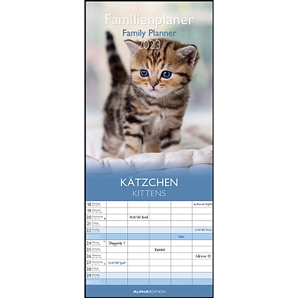 Kätzchen 2023 Familienplaner - Familienkalender - Wandkalender - 19,5x45
