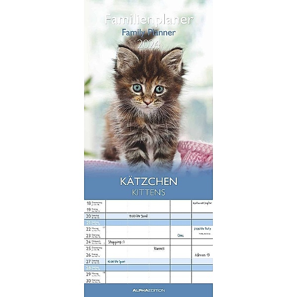 Kätzchen 2024 Familienplaner - Familienkalender - Wandkalender - 19,5x45