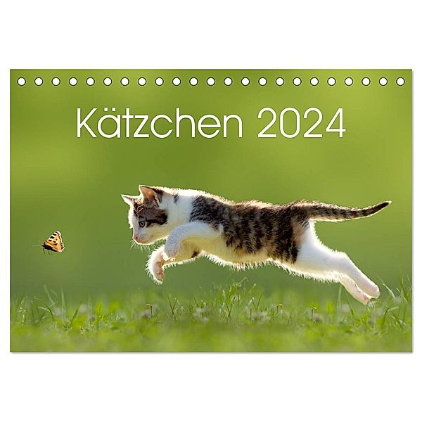 Kätzchen 2024 (Tischkalender 2024 DIN A5 quer), CALVENDO Monatskalender, Leoba