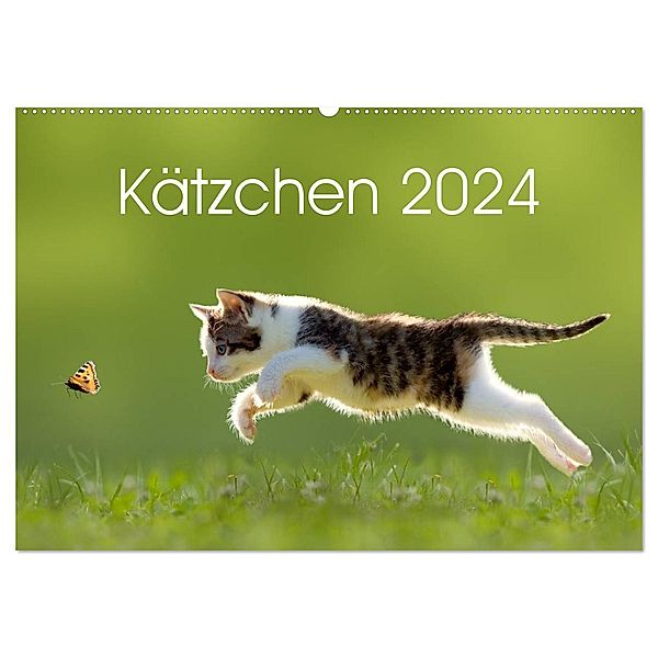 Kätzchen 2024 (Wandkalender 2024 DIN A2 quer), CALVENDO Monatskalender, Leoba