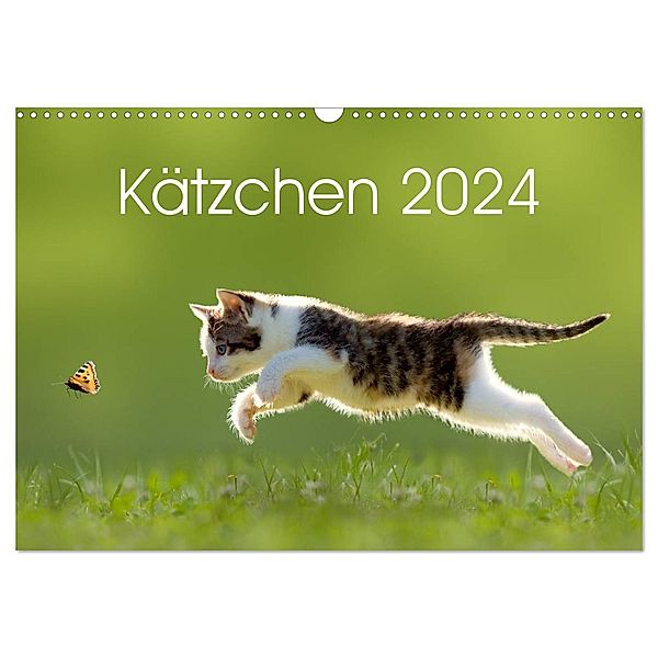 Kätzchen 2024 (Wandkalender 2024 DIN A3 quer), CALVENDO Monatskalender, Leoba