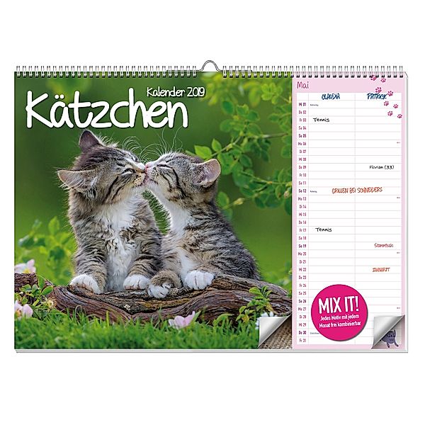Kätzchen A3 Duo Kalender 2019