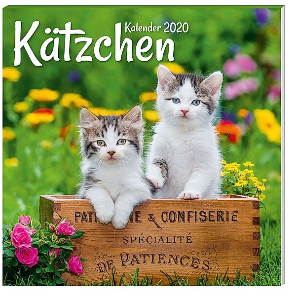 Kätzchen Broschurkalender + Aufstellkalender 2020