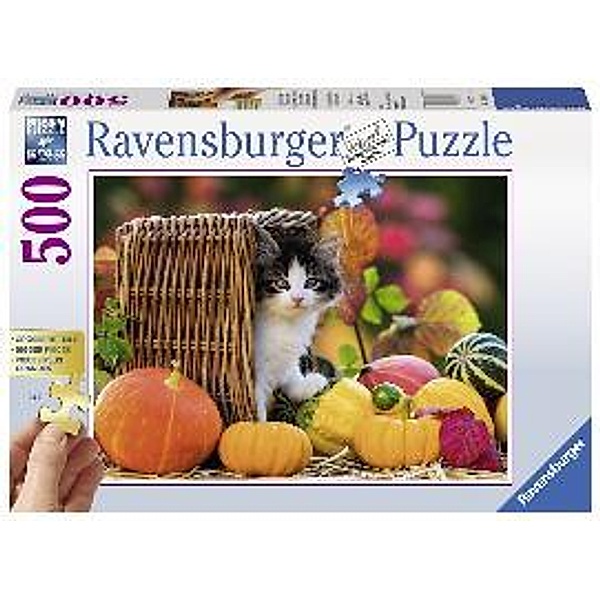 Kätzchen im Herbst Puzzle 500 Teile