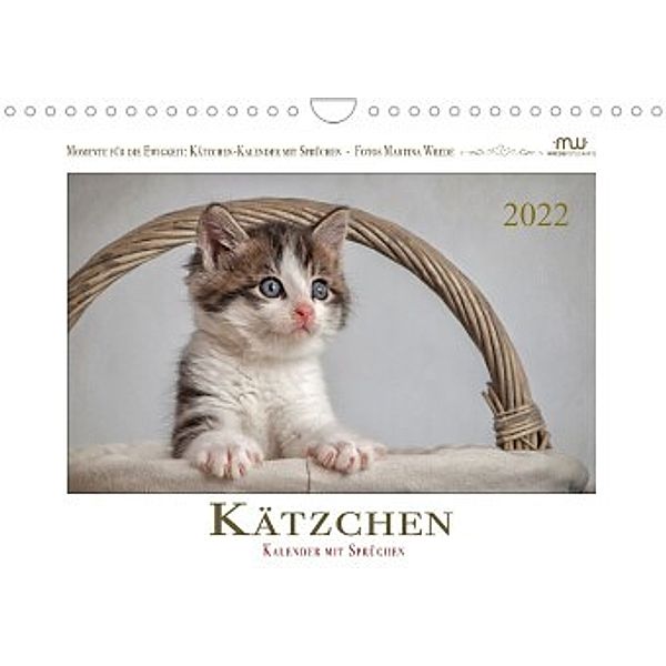 Kätzchen-Kalender mit Sprüchen (Wandkalender 2022 DIN A4 quer), Martina Wrede - Wredefotografie
