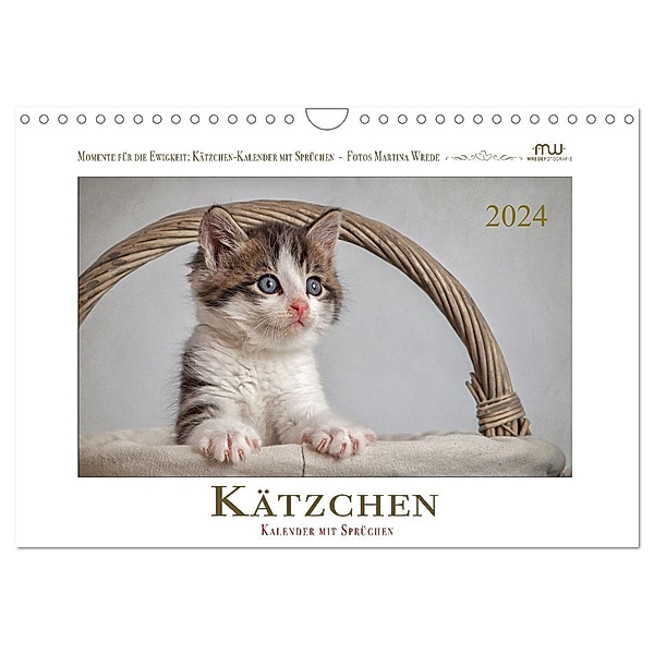 Kätzchen-Kalender mit Sprüchen (Wandkalender 2024 DIN A4 quer), CALVENDO Monatskalender, Martina Wrede - Wredefotografie