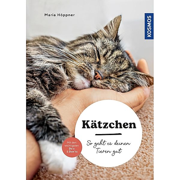 Kätzchen / Mein Tier, Maria Höppner