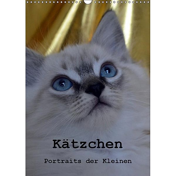 Kätzchen - Portraits der Kleinen (Wandkalender 2019 DIN A3 hoch), Jennifer Chrystal