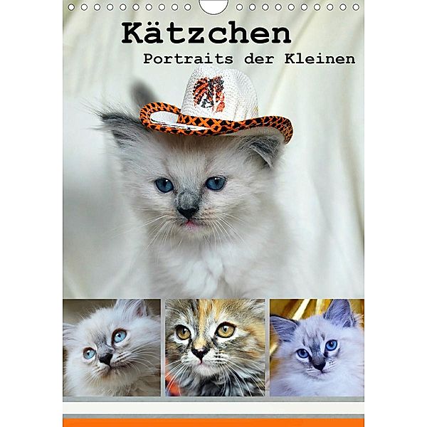 Kätzchen - Portraits der Kleinen (Wandkalender 2020 DIN A4 hoch), Jennifer Chrystal