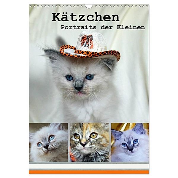 Kätzchen - Portraits der Kleinen (Wandkalender 2024 DIN A3 hoch), CALVENDO Monatskalender, Jennifer Chrystal