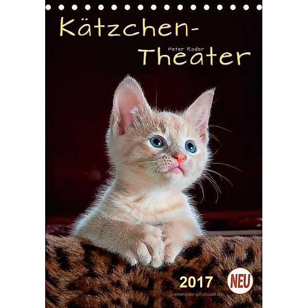 Kätzchen - Theater (Tischkalender 2017 DIN A5 hoch), Peter Roder