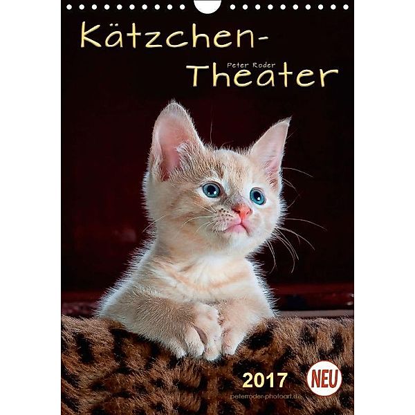 Kätzchen - Theater (Wandkalender 2017 DIN A4 hoch), Peter Roder