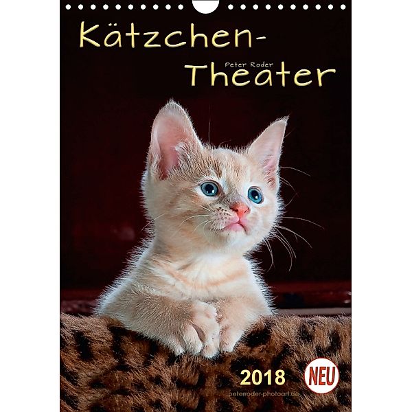 Kätzchen - Theater (Wandkalender 2018 DIN A4 hoch), Peter Roder