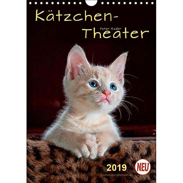 Kätzchen - Theater (Wandkalender 2019 DIN A4 hoch), Peter Roder
