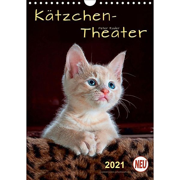 Kätzchen - Theater (Wandkalender 2021 DIN A4 hoch), Peter Roder
