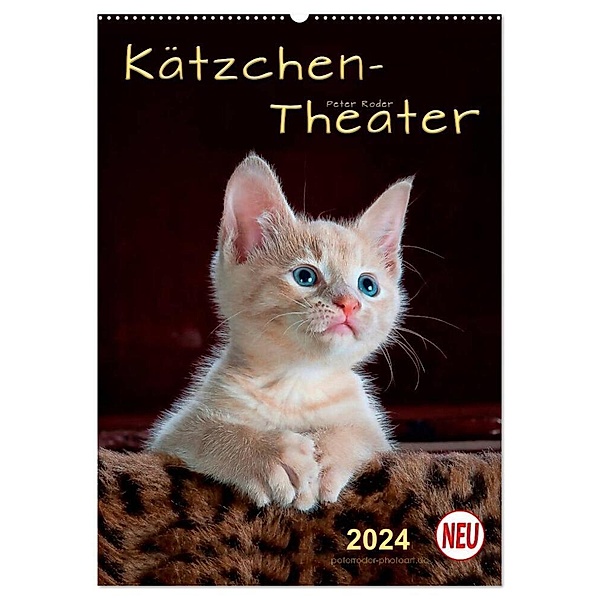 Kätzchen - Theater (Wandkalender 2024 DIN A2 hoch), CALVENDO Monatskalender, Peter Roder