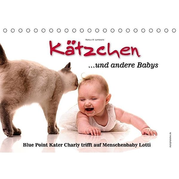Kätzchen und andere Babys (Tischkalender 2017 DIN A5 quer), Markus W. Lambrecht