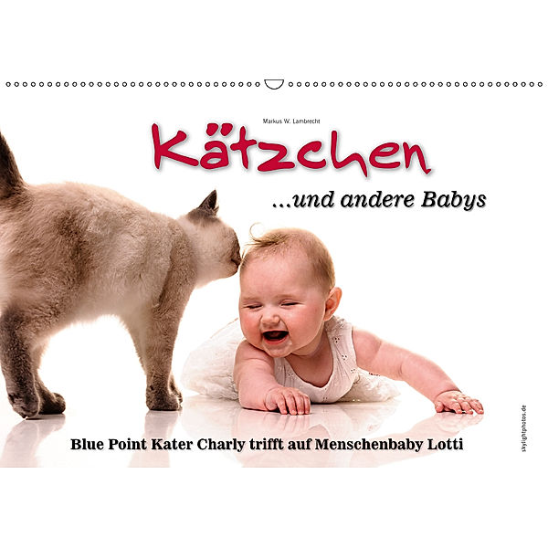 Kätzchen und andere Babys (Wandkalender 2019 DIN A2 quer), Markus W. Lambrecht