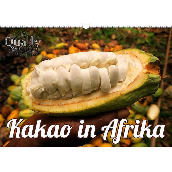 Kakao in Afrika (Wandkalender 2023 DIN A3 quer), Valentin Wolf