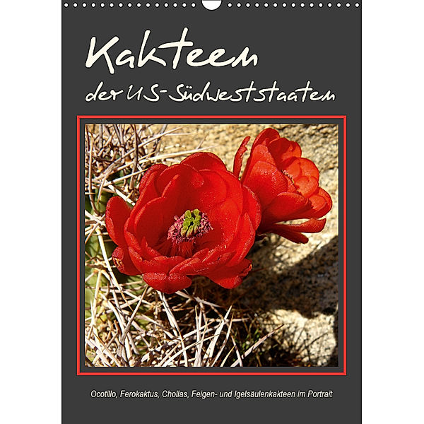 Kakteen der US-Südweststaaten (Wandkalender 2019 DIN A3 hoch), Jana Thiem-Eberitsch