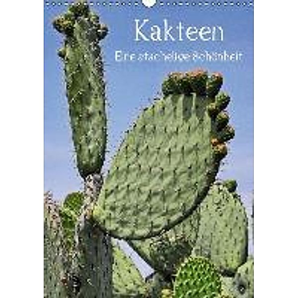 Kakteen - Eine stachelige Schönheit (Wandkalender 2016 DIN A3 hoch), Frank Hornecker