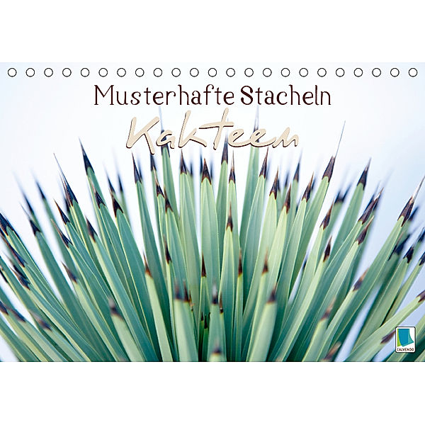 Kakteen: Musterhafte Stacheln (Tischkalender 2019 DIN A5 quer), CALVENDO