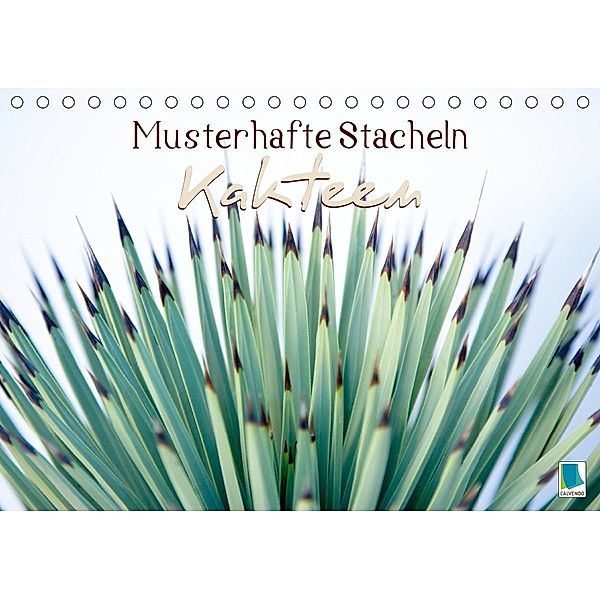 Kakteen: Musterhafte Stacheln (Tischkalender 2021 DIN A5 quer), Calvendo