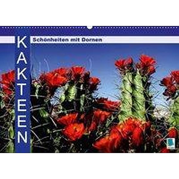 Kakteen: Schönheiten mit Dornen (Wandkalender 2017 DIN A2 quer), CALVENDO