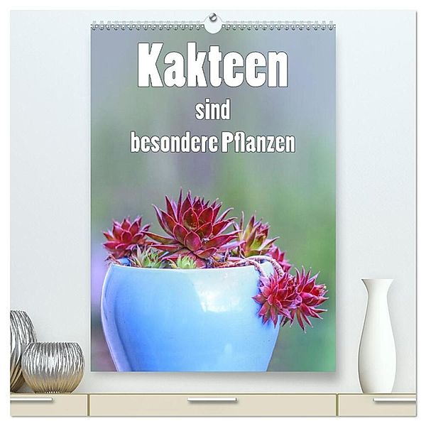 Kakteen sind besondere Pflanzen (hochwertiger Premium Wandkalender 2024 DIN A2 hoch), Kunstdruck in Hochglanz, Liselotte Brunner-Klaus